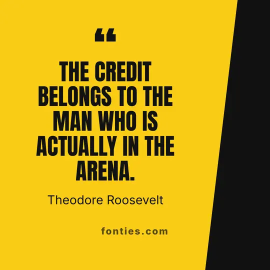 The credit belongs to the man who is actually in the arena.-Theodore Roosevelt