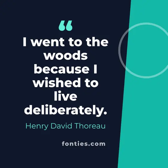 I went to the woods because I wished to live deliberately.-Henry David Thoreau