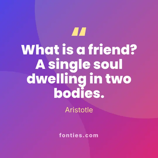 What is a friend? A single soul dwelling in two bodies.-Aristotle