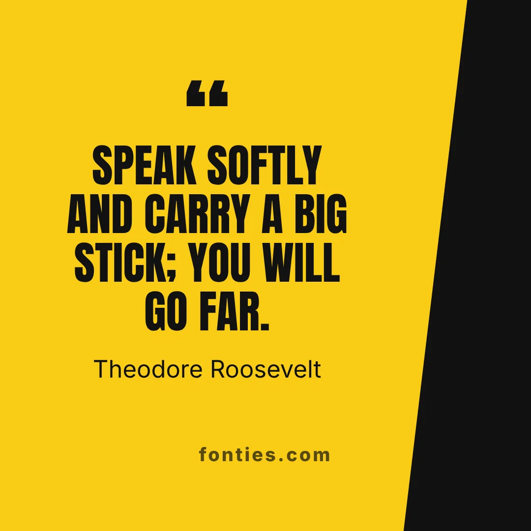 Speak softly and carry a big stick; you will go far.-Theodore Roosevelt